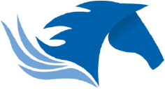 Etalon Air Logo